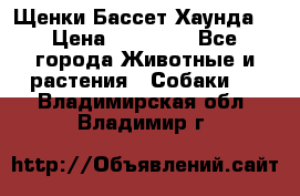 Щенки Бассет Хаунда  › Цена ­ 25 000 - Все города Животные и растения » Собаки   . Владимирская обл.,Владимир г.